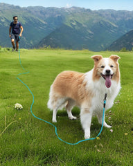 Joytale long leash with premium climbing rope for durability outdoors.
