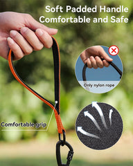 Joytale Long Leash dual swivel hooks prevent tangling during walks.