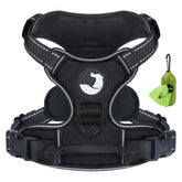 Joytale No Pull Harness front clip redirects attention for calmer walks.