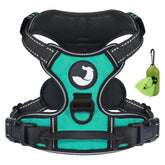Joytale No Pull Harness with front clip aiding training and reducing pulling during walks