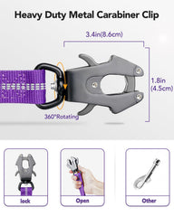 Joytale heavy-duty leash showing zero-shock bungee absorbing energy during a walk.