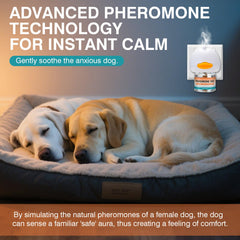 JTEWZX 48ml refills pack extending calm at home