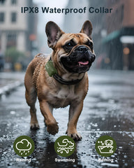 Jugbow training collar offering up to 4500 feet range for outdoor recall.