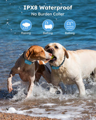 Jugbow dog shock collar adjustable-nylon-strap offers a snug, skin-friendly fit.
