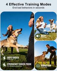 Jugbow dog shock collar IPX8 waterproof for rain and pool sessions.