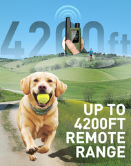 Jugbow IPX8 waterproof collar ready for any weather