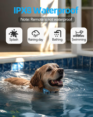Jugbow IPX8 waterproof collar ready for all-weather use.