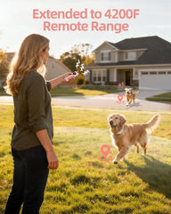 Jugbow LED light helps locate your dog at dusk during walks.
