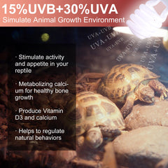 Jugbuy UVB15-0 lamp lit in bearded dragon setup encouraging regular feeding and movement.