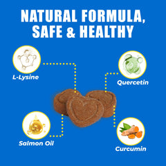 Just Try 300 Bites ingredients list features L-Lysine and Quercetin for skin health.