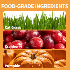 Just Try cat grass treats with greens, designed for hairball support and digestion.