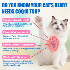 Just Try CoQ10 Heart Bites cat taurine ingredient label, balanced supplement in one bite.