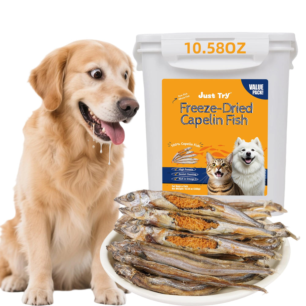 Just Try freeze-dried minnows dog treat close-up, high protein for training and healthy bites.