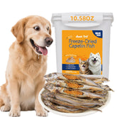 Just Try freeze-dried minnows dog treat close-up, high protein for training and healthy bites.