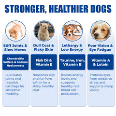 Just Try joint-health glucosamine for dogs highlighting mobility