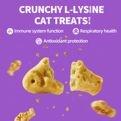Just Try Lysine Cat Treats salmon ingredients close-up highlighting natural ingredients for cats.