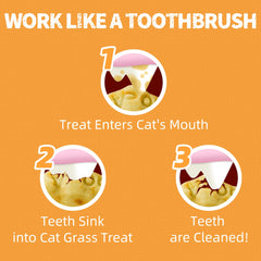 Just Try salmon oil and pumpkin blend emphasizes tasty, digestion-friendly ingredients.