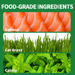 Just Try training rewards cat snacks encourage positive behavior and interactive sessions.