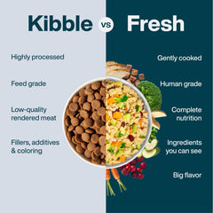 JustFoodForDogs balanced turkey meal supports variety and easy feeding.