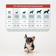 JustFoodForDogs Nutrient Blend cooking guide in use for DIY dog meals