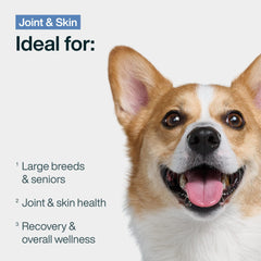 JustFoodForDogs Pantry Fresh packaging tetra pak preserves freshness and shelf stability
