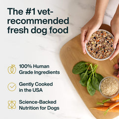 JustFoodForDogs Pantry Fresh tetra pak packaging highlights shelf-stable freshness.