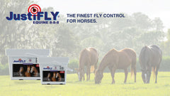 JustiFLY Equine top-dress feed image demonstrates easy daily application