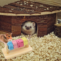 JWVGWV small animal enrichment toy stimulating activity and mental engagement.