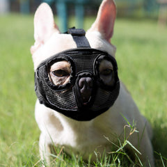 JYHY short snout muzzle with breathable mesh for daily comfort