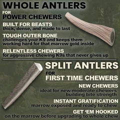 K-9 Antler Co. USA sourced antlers responsibly gathered for natural dog chews.