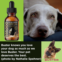 K2xLabs Busters hemp oil dog drops for easy calming doses