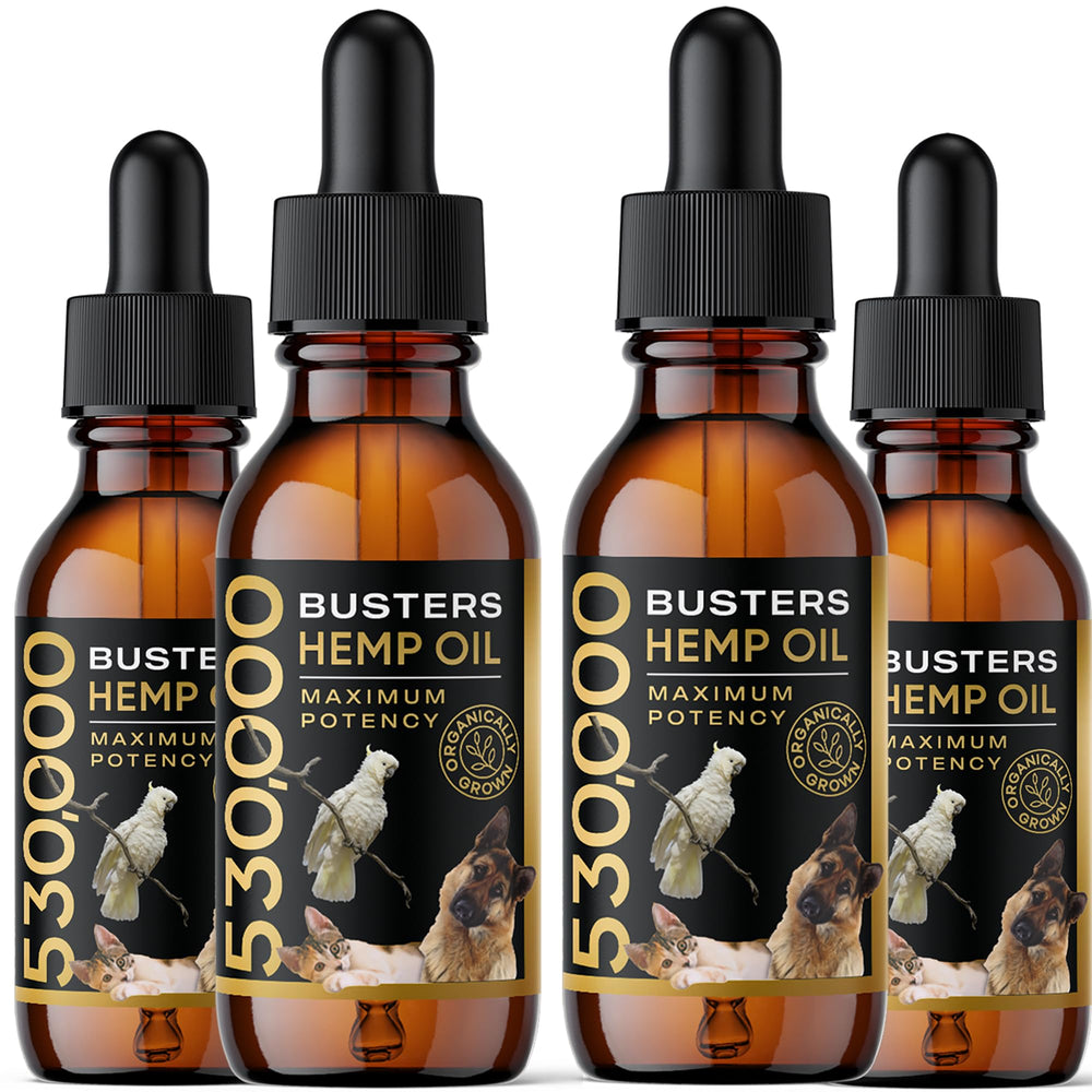 K2xLabs Buster's hemp oil bottle with dropper for pets, supports joint comfort.