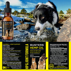 K2xLabs glucosamine 100 mg per serving drops support daily wellness in dogs.