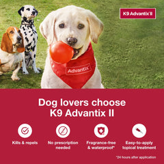 Dog at the park with K9 Advantix II XL protection.
