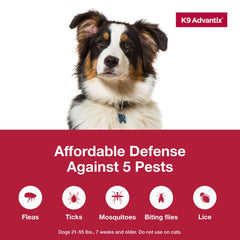 K9 Advantix Large Dog kills fleas and ticks on contact