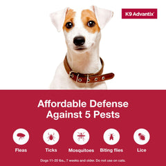 K9 Advantix medium dog flea-kill on contact illustrates rapid relief