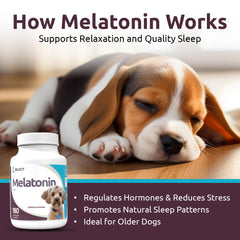 K9 Select Melatonin coat and skin support capsules contributing to healthy shine.