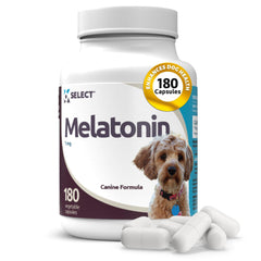 K9 Select Melatonin dog capsules in bottle, easing small dogs into quiet evenings.