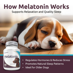 K9 Select natural-flavor dog tablets image highlighting tasty, easy-to-digest calming support