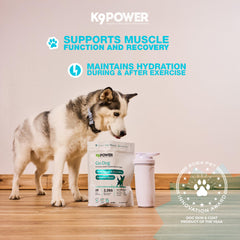 K9Power Go Dog during exercise demonstrates sustained energy during runs.