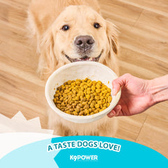 K9Power Go Dog electrolyte powder scoop highlights easy mixing.