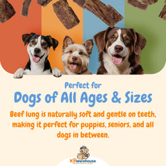 K9warehouse USA-made beef lung treats ensuring quality and safety.