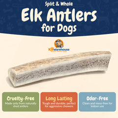 K9warehouse mixed elk antlers large dogs visual2 natural texture supports safe, satisfying chews