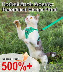 Kaazylab adjustable cat harness straps provide a snug fit for kittens and adults.