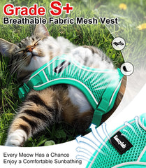 Kaazylab cat harness shows breathable air mesh fabric for cool, comfortable walks.