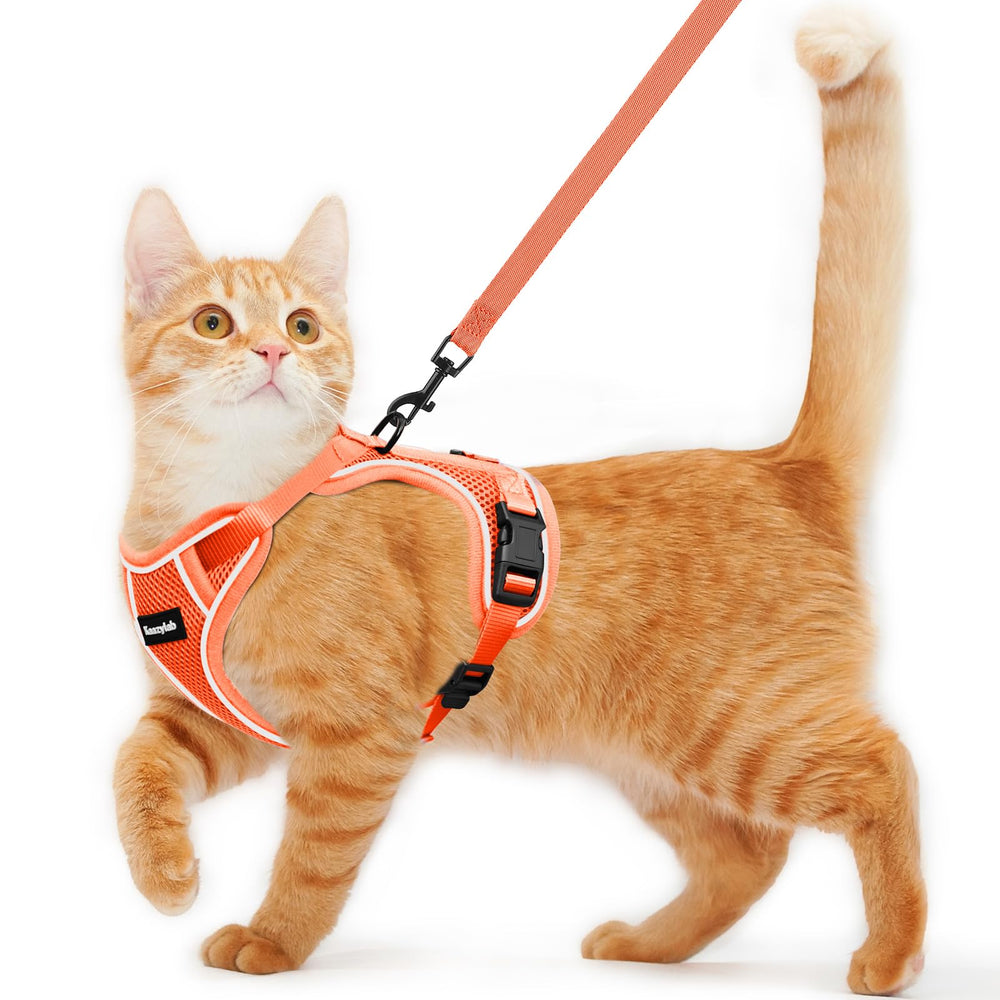 Kaazylab cat harness escape-proof design for secure outdoor adventures.