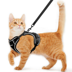 Kaazylab escape-proof cat harness for secure outdoor walks.