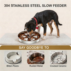 Kactoily non-slip base keeps the bowl steady during meals
