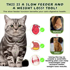 KADTC cat enrichment toy with foraging balls promotes mental stimulation.
