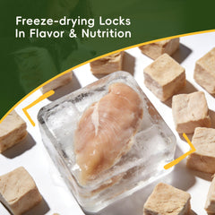 Kaiivo high-protein training dog treat, perfect for rewarding workouts.